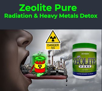 what is zeolite